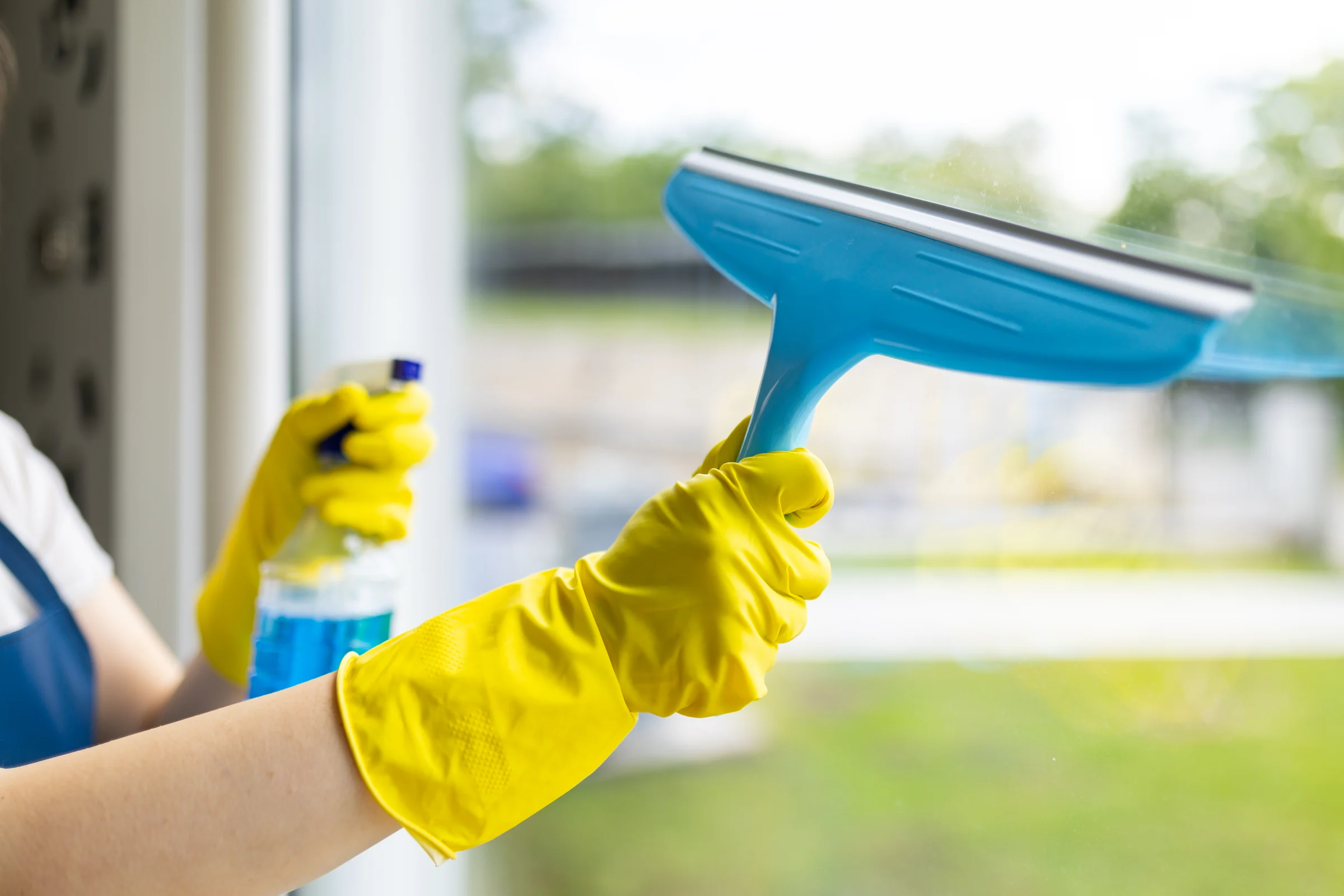 Comprehensive Window and Glass Cleaning services in Dallas TX